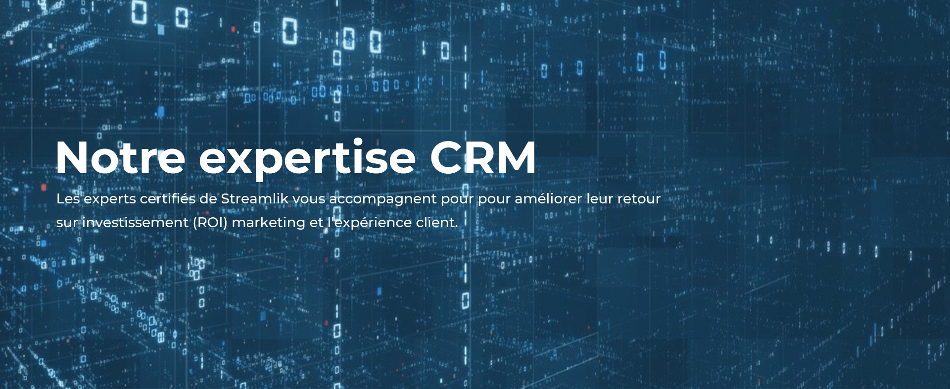 Expertise CRM